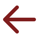 Search Icon
