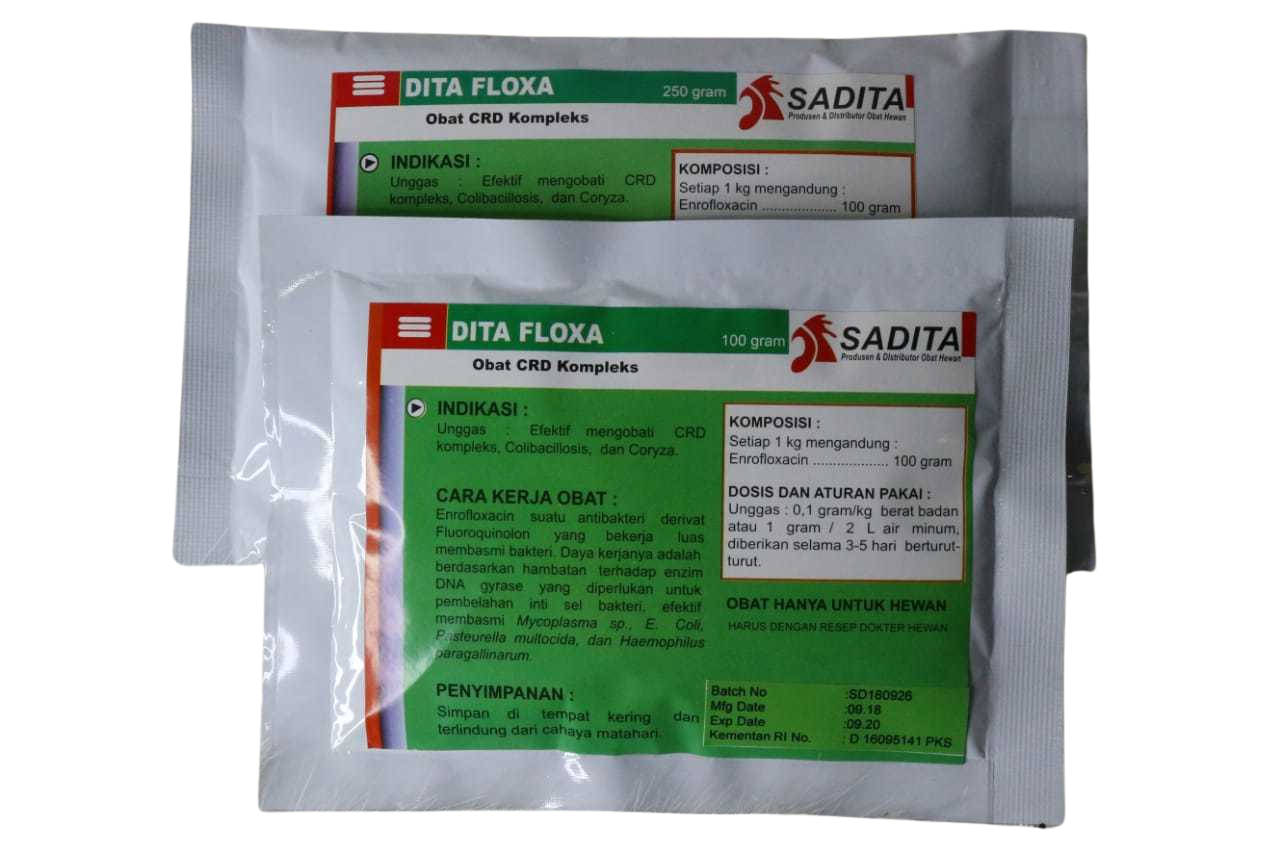 DITA FLOXA POWDER
